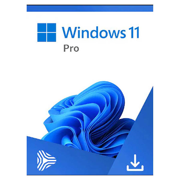 Microsoft Windows 11 Pro