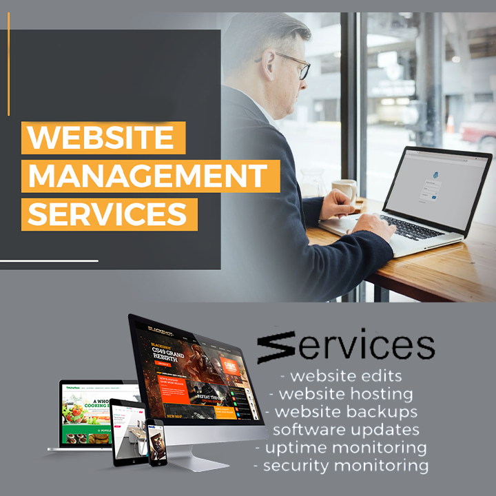 Professional Website Management